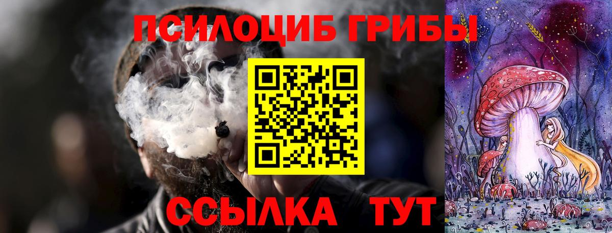 Псилоцибиновые грибы Psilocybine cubensis Орехово-Зуево